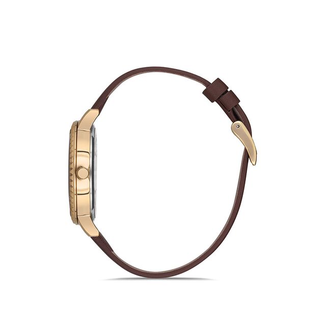 Ceas Daniel Klein Premium DK.1.12533.2