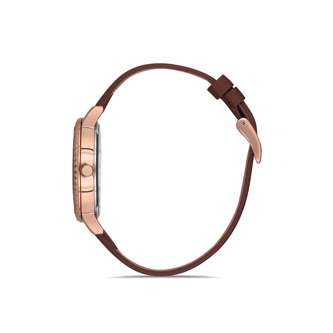 Ceas Daniel Klein Premium DK.1.12533.3