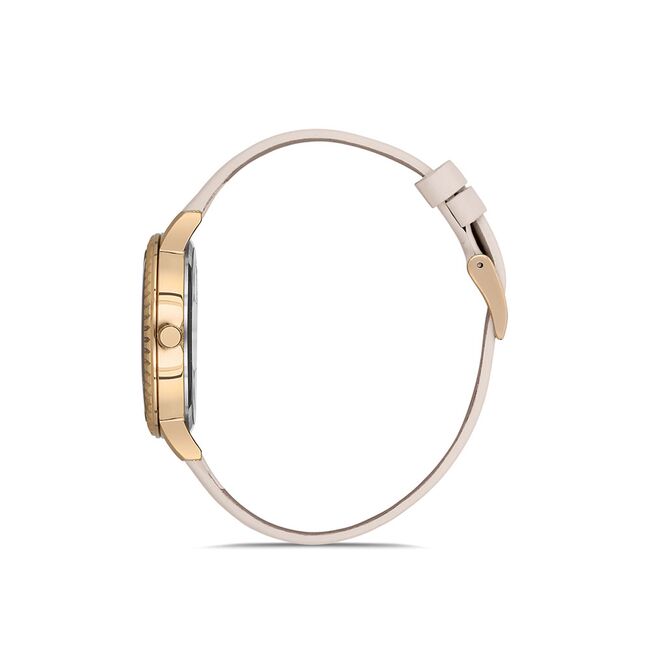 Ceas Daniel Klein Premium DK.1.12533.4