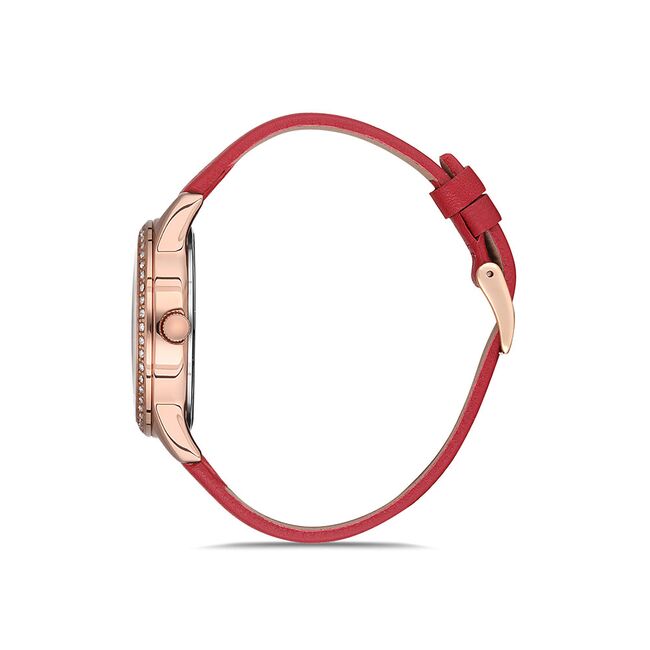 Ceas Daniel Klein Premium DK.1.12562.2