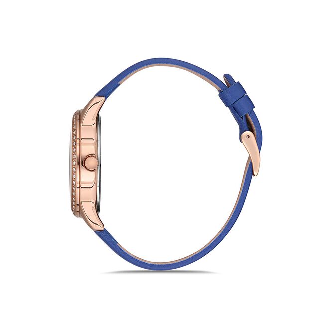 Ceas Daniel Klein Premium DK.1.12562.5