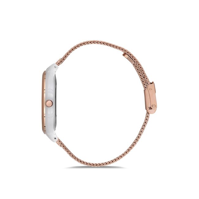 Ceas Daniel Klein Premium DK.1.12614.4