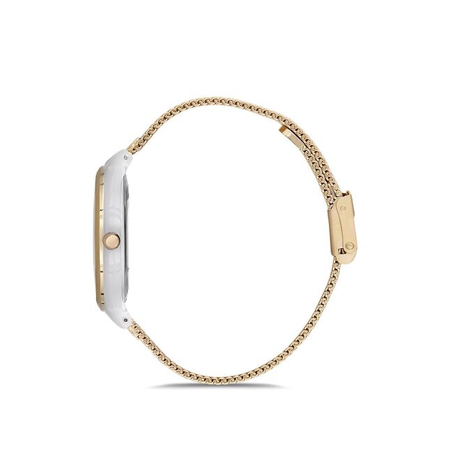 Ceas Daniel Klein Premium DK.1.12614.5