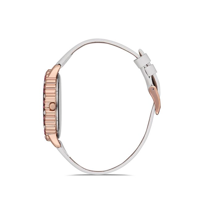 Ceas Daniel Klein Trendy DK.1.12525.4