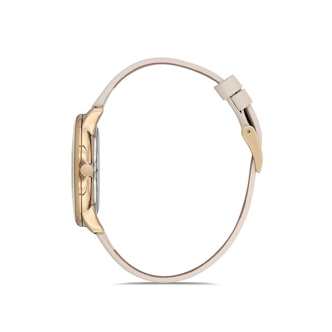 Ceas Daniel Klein Trendy DK.1.12552.3