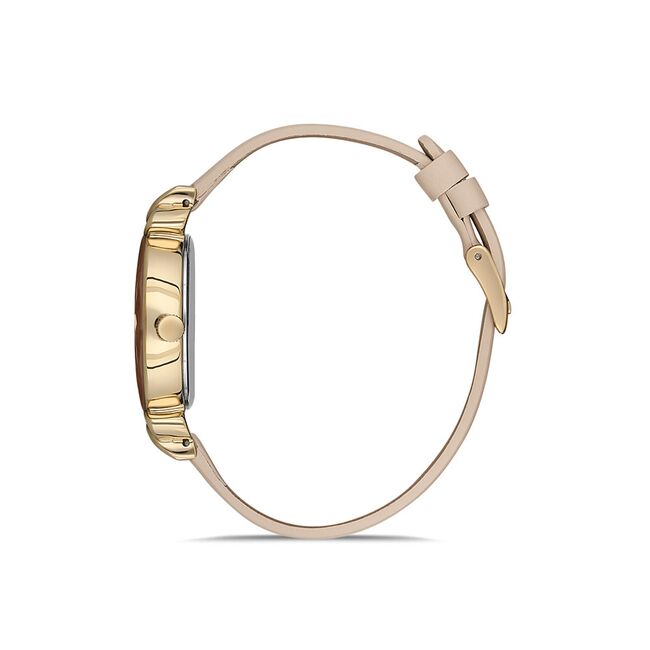 Ceas Daniel Klein Trendy DK.1.12553.3