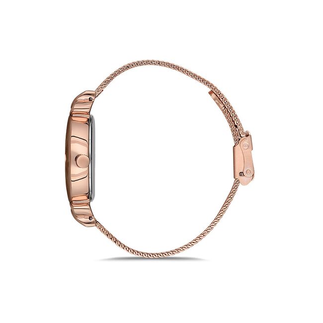 Ceas Daniel Klein Trendy DK.1.12554.2