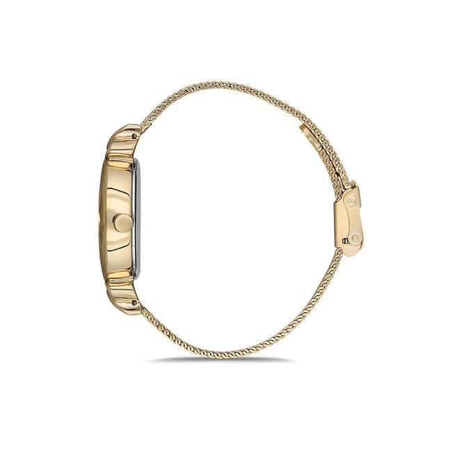 Ceas Daniel Klein Trendy DK.1.12554.3