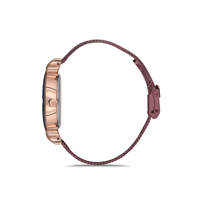 Ceas Daniel Klein Trendy DK.1.12554.4