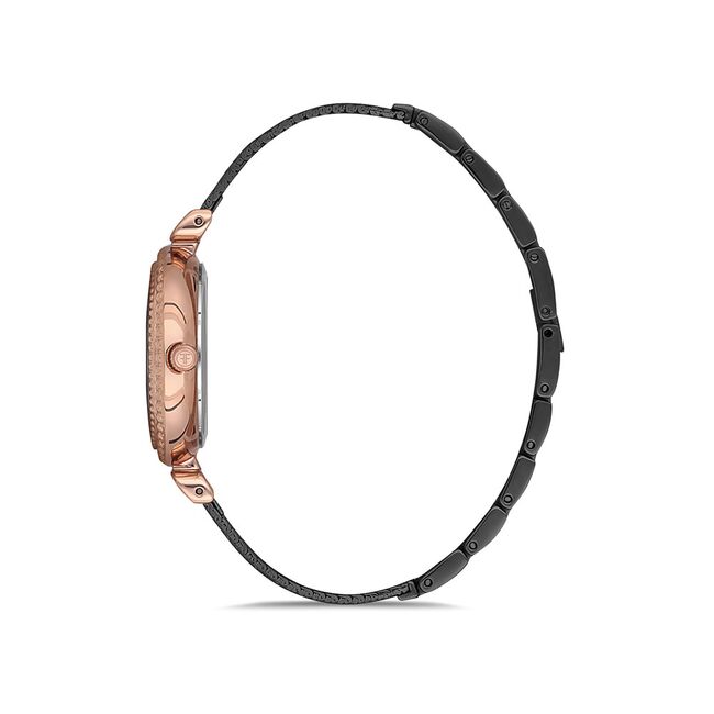 Ceas Freelook Eiffel FL.1.10133.6