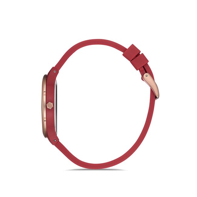 Ceas Freelook Eiffel FL.1.10185.5