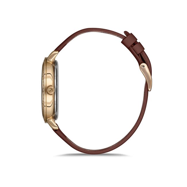 Ceas Freelook Lumiere FL.1.10179.3