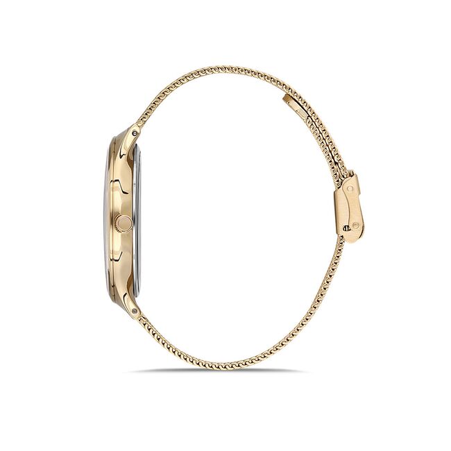 Ceas Daniel Klein Premium DK.1.12724.6