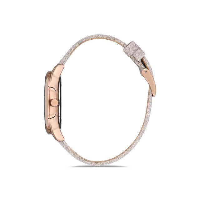 Ceas Daniel Klein Premium DK.1.12667.5