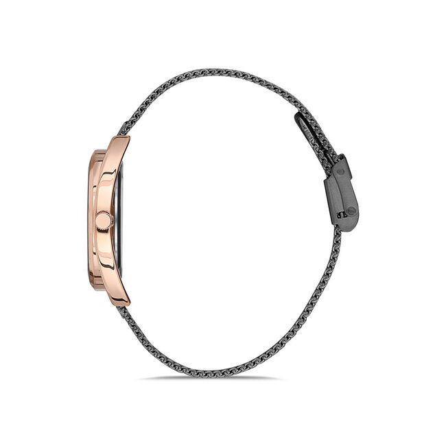 Ceas Daniel Klein Premium DK.1.12695.4