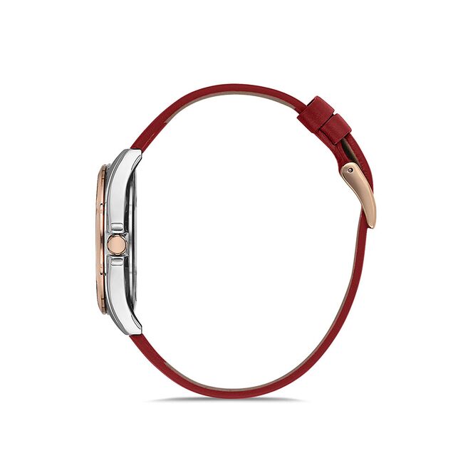 Ceas Daniel Klein Premium DK.1.12720.2