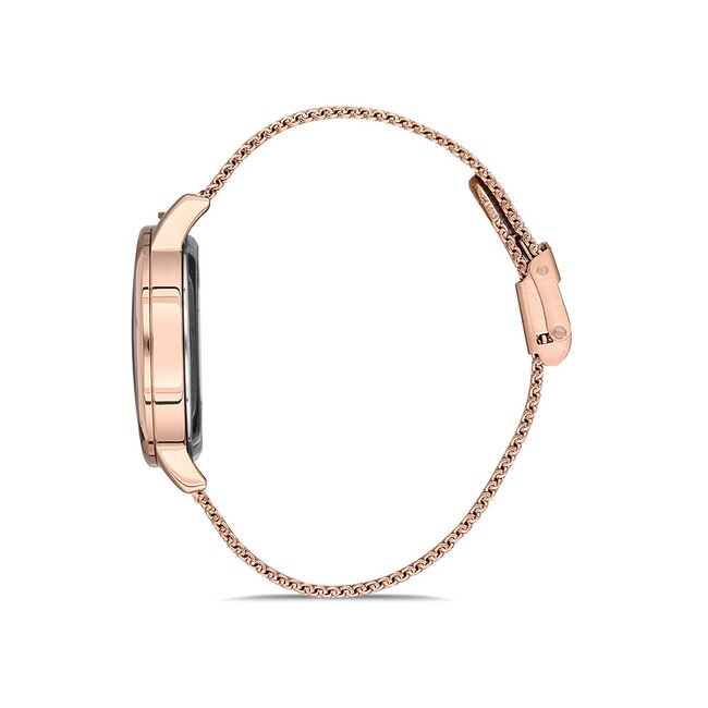 Ceas Daniel Klein Trendy DK.1.12690.2