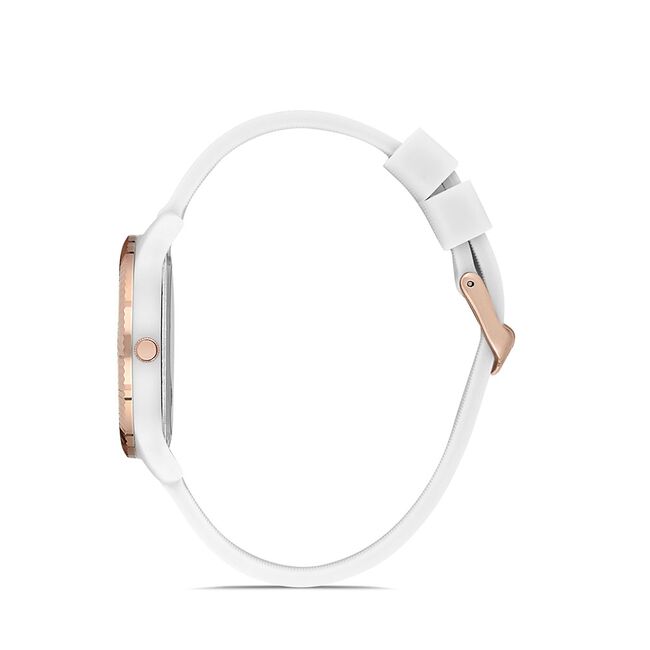 Ceas Daniel Klein Dkln DK.1.12767.2