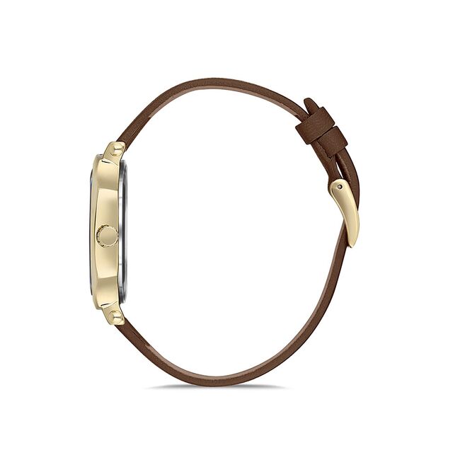 Ceas Daniel Klein Fiord DK.1.12745.4