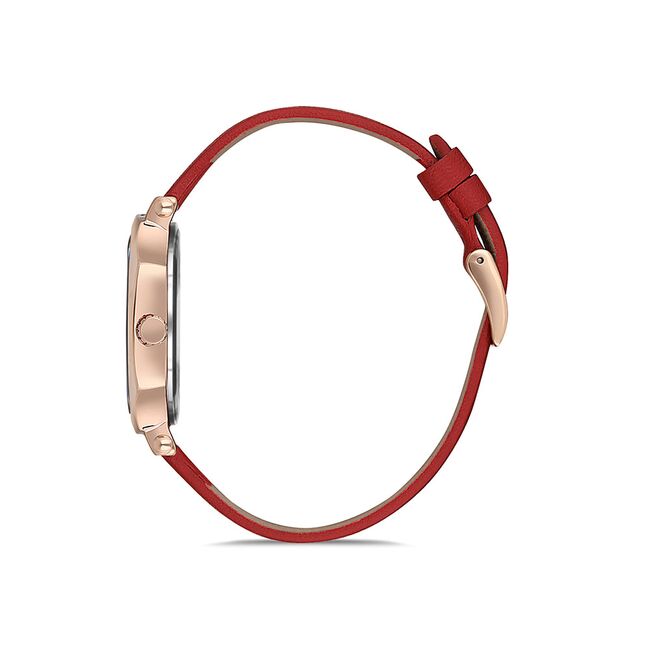 Ceas Daniel Klein Fiord DK.1.12745.5