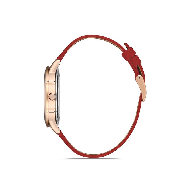 Ceas Daniel Klein Premium DK.1.12760.3