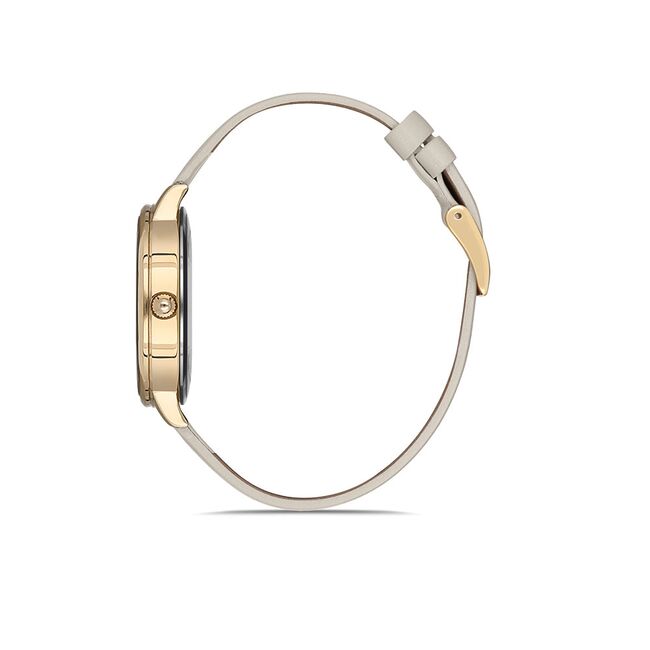 Ceas Daniel Klein Trendy DK.1.12766.4