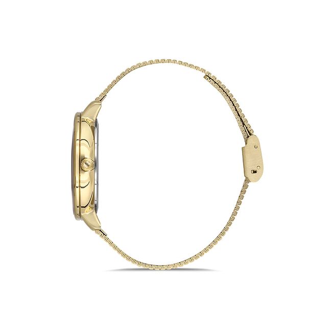 Ceas Freelook Eiffel FL.1.10123.2