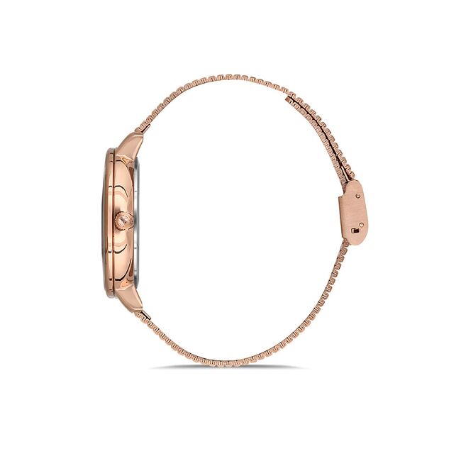 Ceas Freelook Eiffel FL.1.10123.3