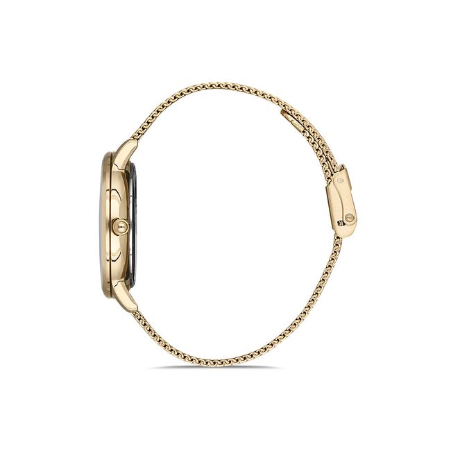 Ceas Daniel Klein Premium DK.1.12834.6