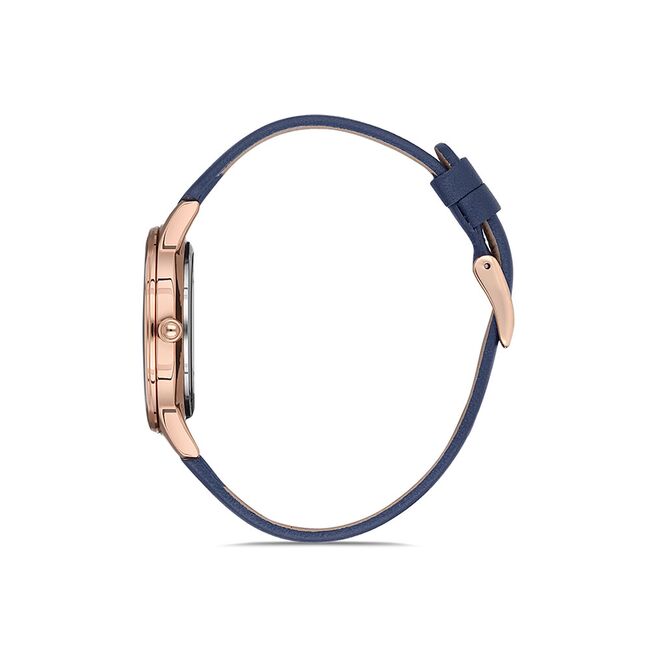 Ceas Daniel Klein Trendy DK.1.12776.5