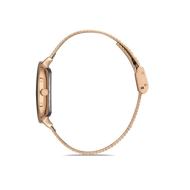 Ceas Daniel Klein Premium DK.1.12899.2