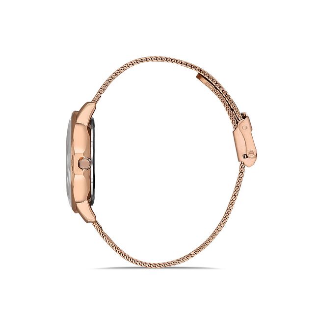 Ceas Daniel Klein Premium DK.1.12901.3