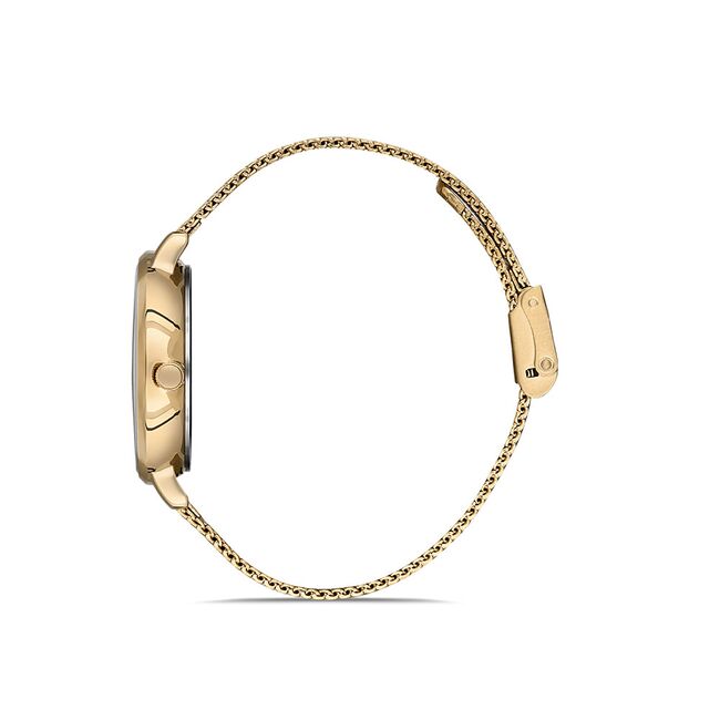 Ceas Daniel Klein Premium DK.1.12907.2