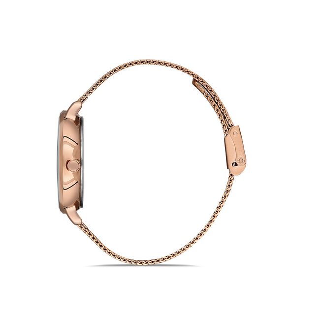 Ceas Daniel Klein Premium DK.1.12907.3