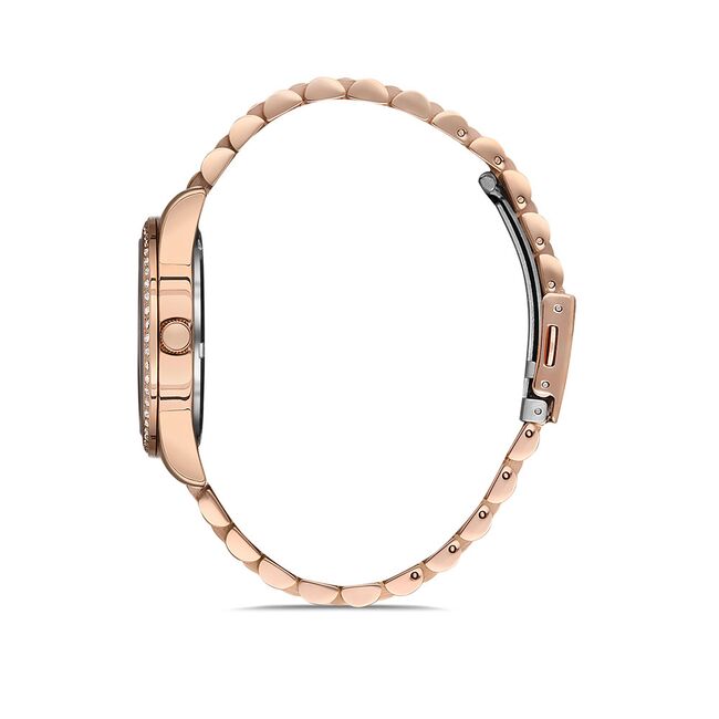 Ceas Daniel Klein Premium DK.1.12909.3