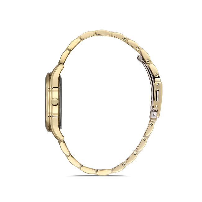 Ceas Daniel Klein Premium DK.1.12910.3