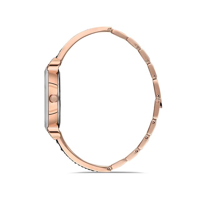 Ceas Daniel Klein Premium DK.1.12913.6