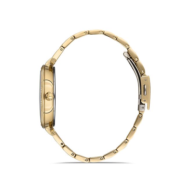 Ceas Daniel Klein Premium DK.1.12923.2