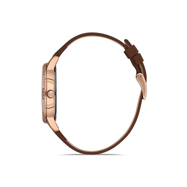 Ceas Daniel Klein Premium DK.1.12925.2