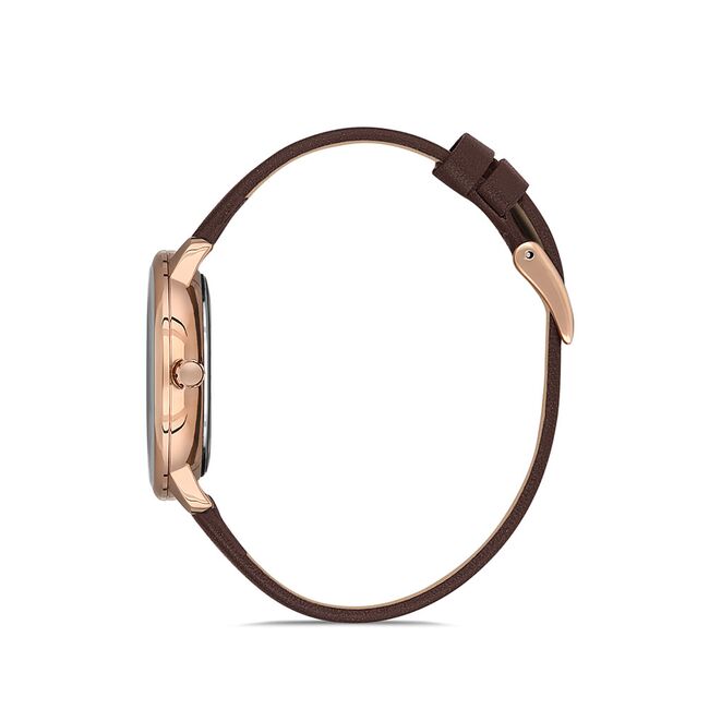 Ceas Daniel Klein Premium DK.1.12931.3