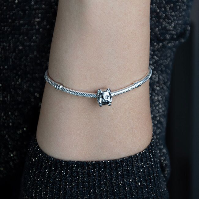 Talisman argint pisicuta