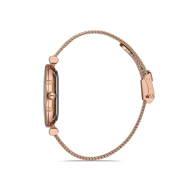 Ceas Daniel Klein Premium DK.1.12954.2