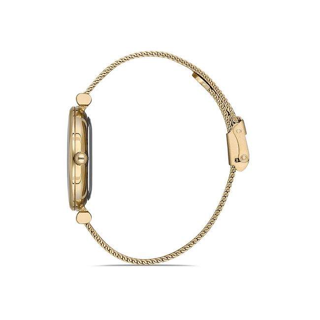 Ceas Daniel Klein Premium DK.1.12954.3