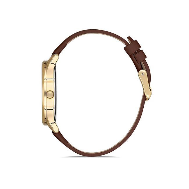 Ceas Daniel Klein Premium DK.1.12966.5