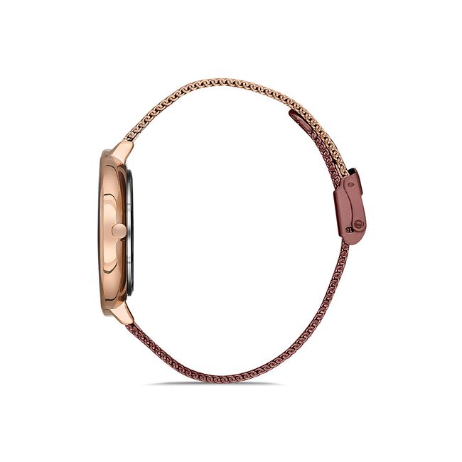 Ceas Daniel Klein Premium DK.1.12972.5