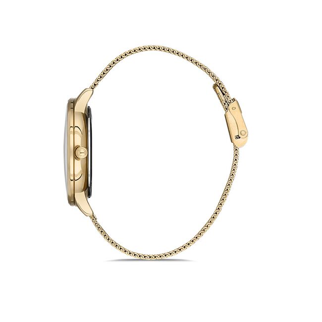 Ceas Daniel Klein Trendy DK.1.12914.3