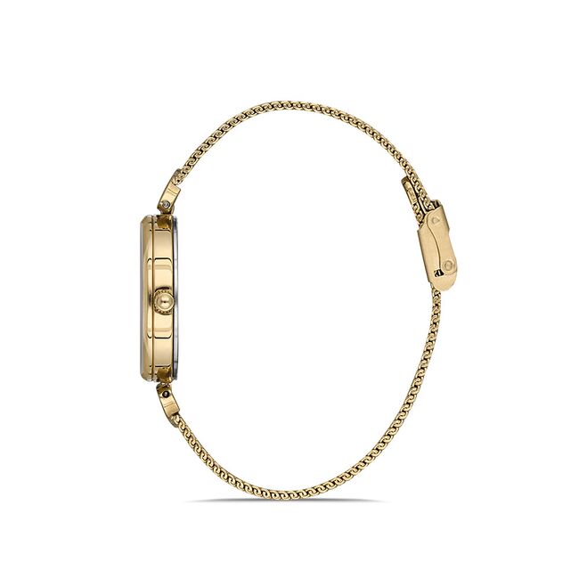 Ceas Daniel Klein Trendy DK.1.12929.2