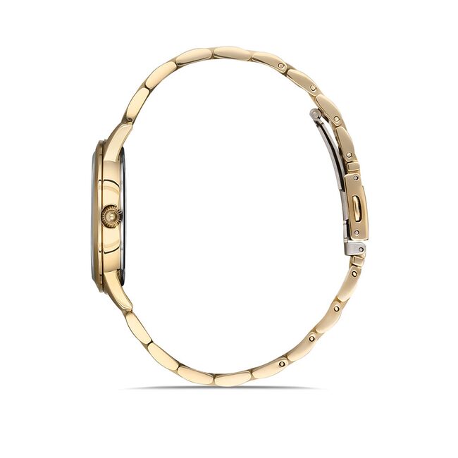 Ceas Freelook Eiffel FL.1.10243.3