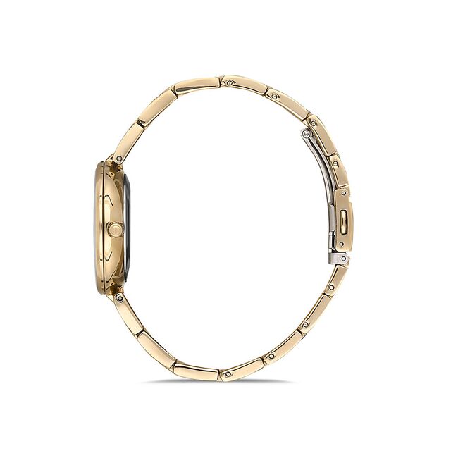 Ceas Freelook Lumiere FL.1.10236.3