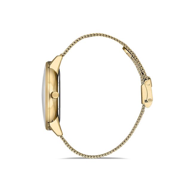 Ceas Daniel Klein Exclusive DK.1.13033.2